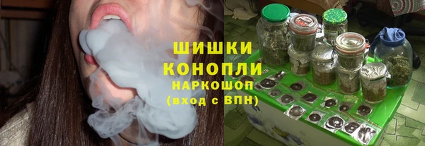 ПСИЛОЦИБИНОВЫЕ ГРИБЫ Кулебаки