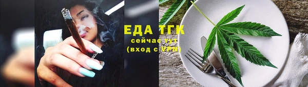 стаф Корсаков