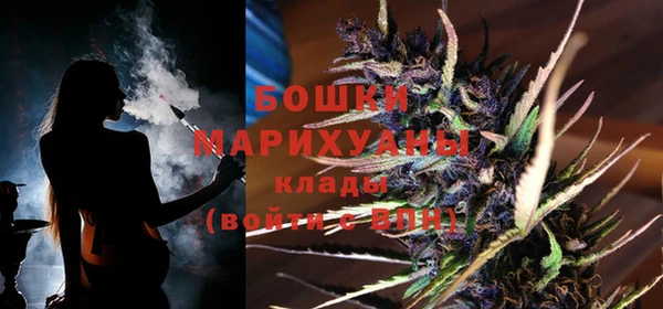 ПСИЛОЦИБИНОВЫЕ ГРИБЫ Кулебаки