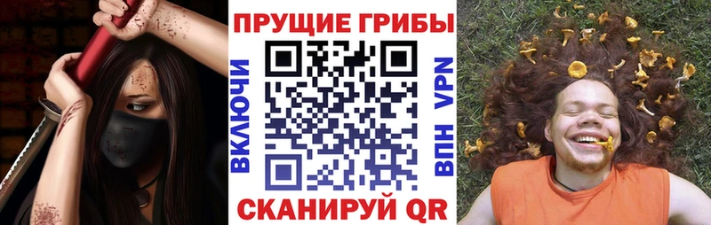 Псилоцибиновые грибы Psilocybe  кракен ссылки  Мичуринск 