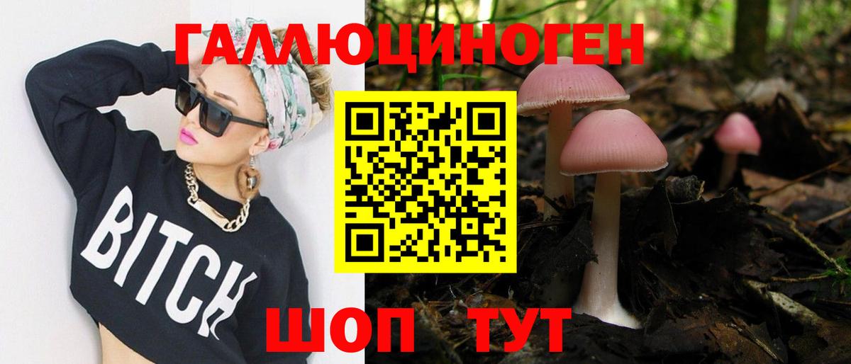 Мичуринск  Псилоцибиновые грибы GOLDEN TEACHER  цена наркотик  Вход с VPN 